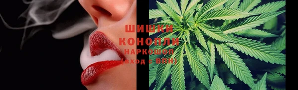 шишки Михайловка